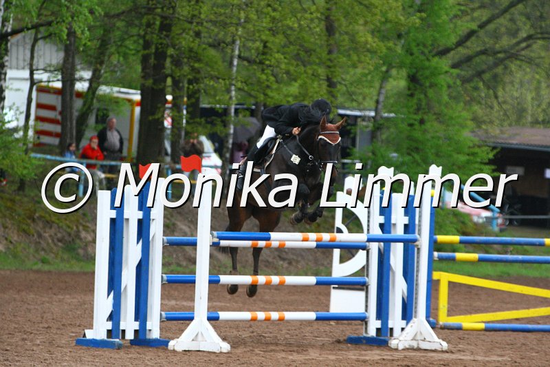 005L5463_Stechen Mx.JPG